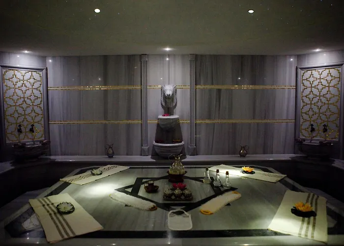 Bilkent And Conference Center 5* אנקרה